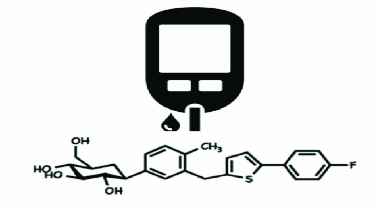 Diabetic Kidney Disease and Use of Sodium Glucose Transporter 2 Inhibitors (SGLT-2i)